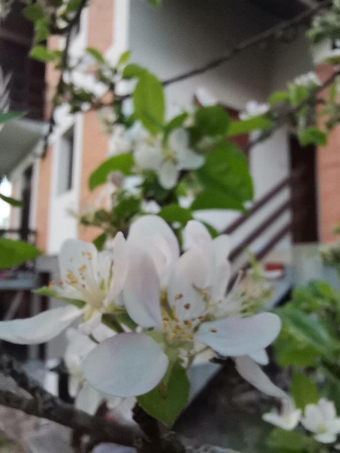 Srdica Kuca Villa Trnava  Kültér fotó
