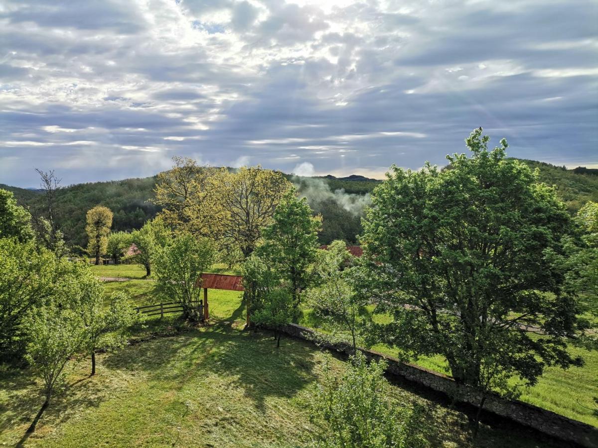 Srdica Kuca Villa Trnava  Kültér fotó