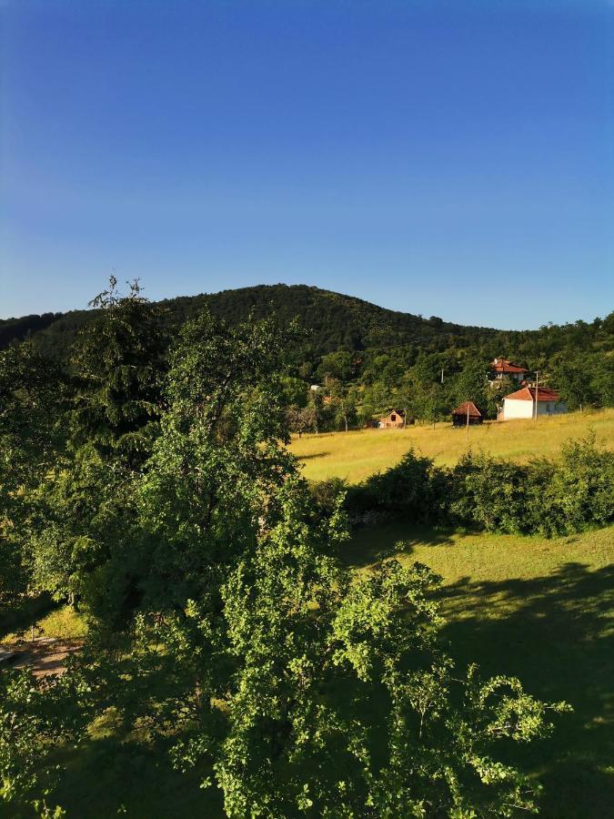 Srdica Kuca Villa Trnava  Kültér fotó